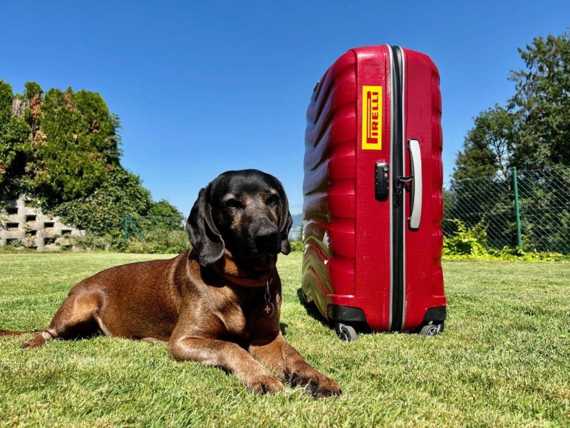 auto4me-Sommerferien-klein.jpg